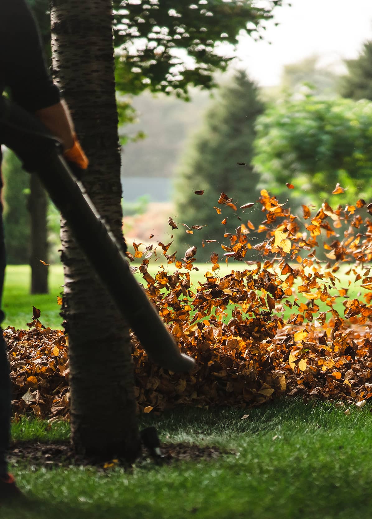 enlevement-dechets-verts-feuilles