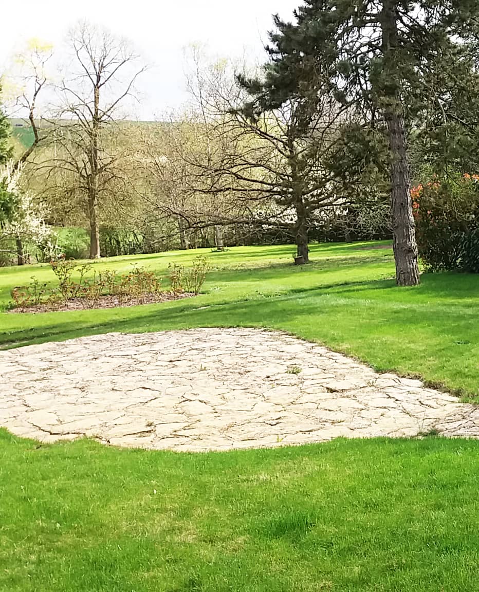 tonte-pelouse-jardin-allee-massif