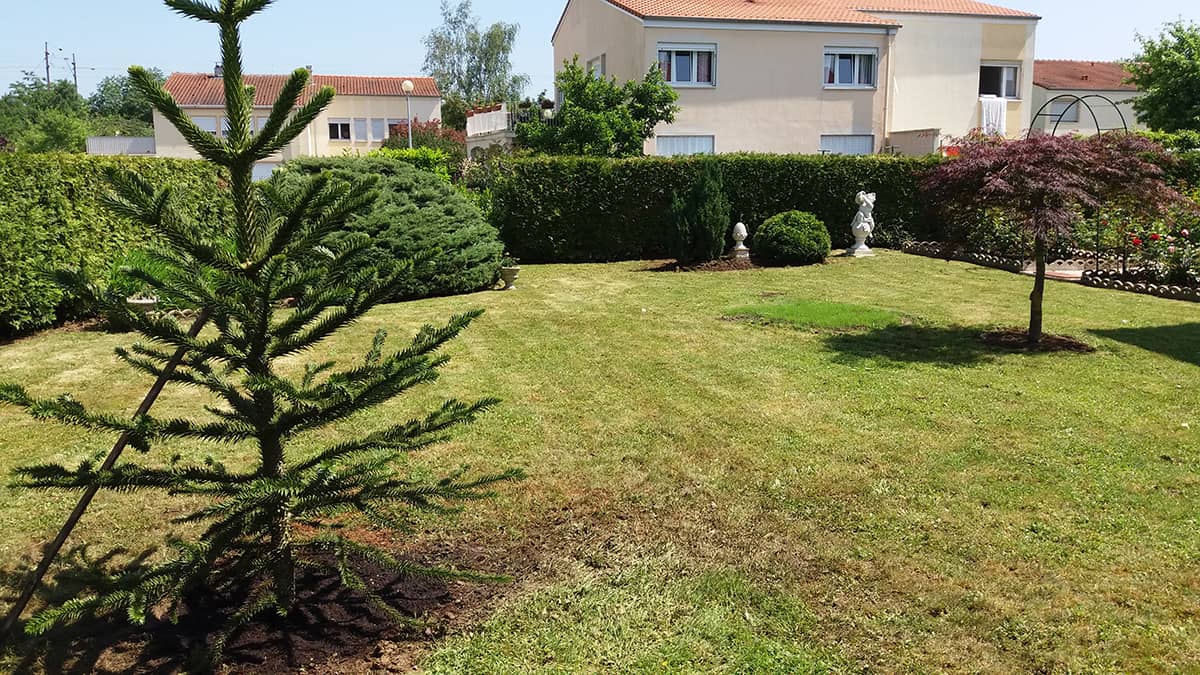 entretient-jardin-tonte-gazon